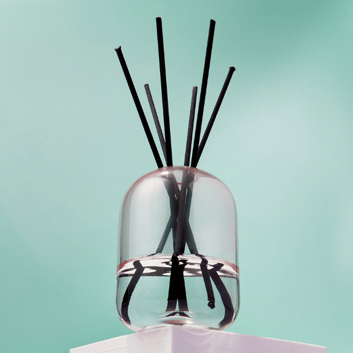 Dreamy Ginger Reed Diffuser in Light Blush Hera
