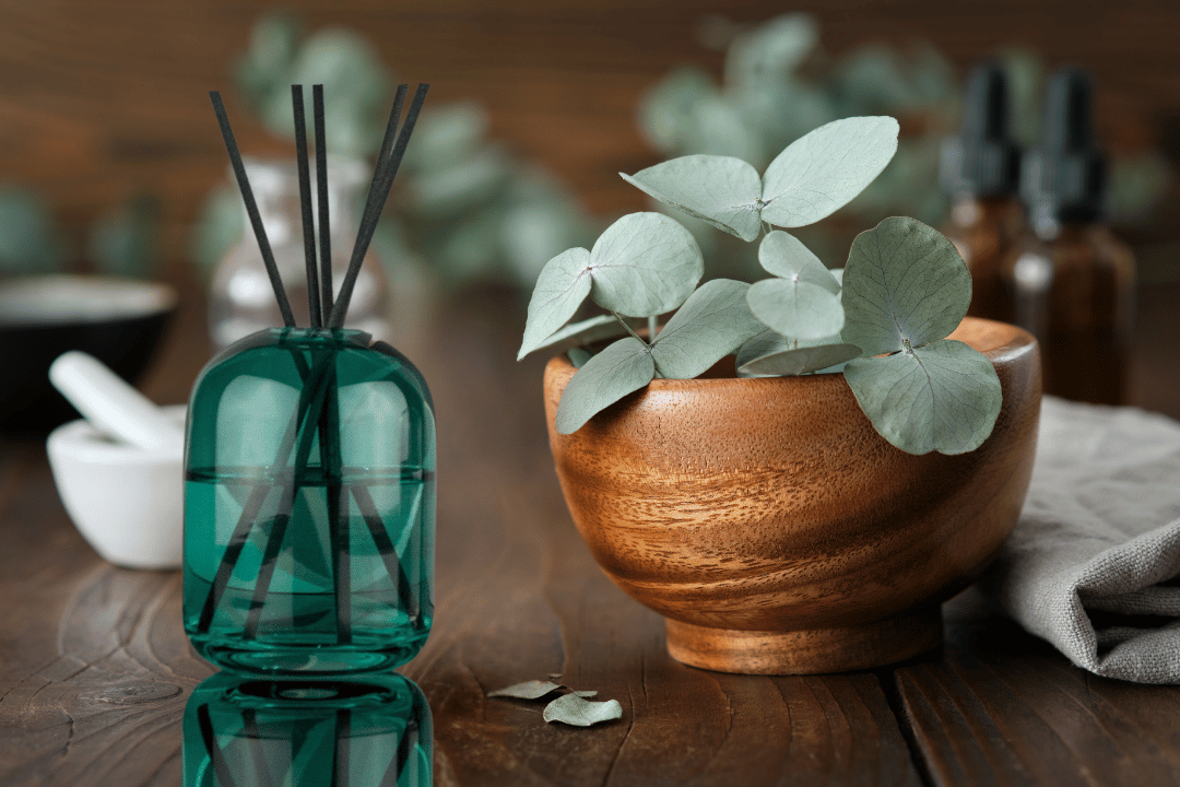 Eucalyptus: A Perfect Home Fragrance for Chilly Months