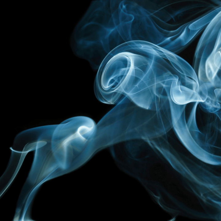 Club Havana Wax Melts